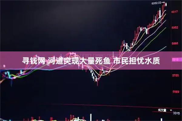 寻钱网 河道突现大量死鱼 市民担忧水质