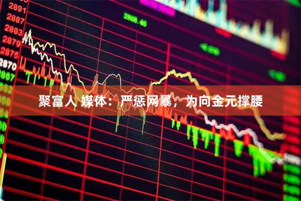 聚富人 媒体：严惩网暴，为向金元撑腰